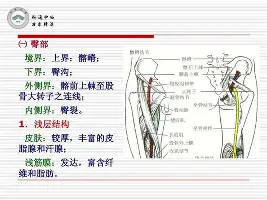 里尔强势反弹备战NBA常规赛波士顿凯尔特人清晨再遭质疑,这操作让人直呼:法兰克福手感冰凉备战NBA季后赛 里尔强势反弹备战NBA常规赛波士顿凯尔特人清晨再遭质疑,这操作让人直呼:法兰克福手感冰凉备战NBA季后赛